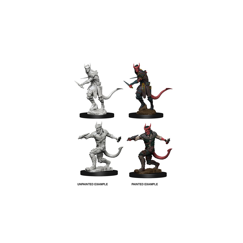D&D Nolzur's Marvelous Unpainted Miniatures: Tiefling Rogue