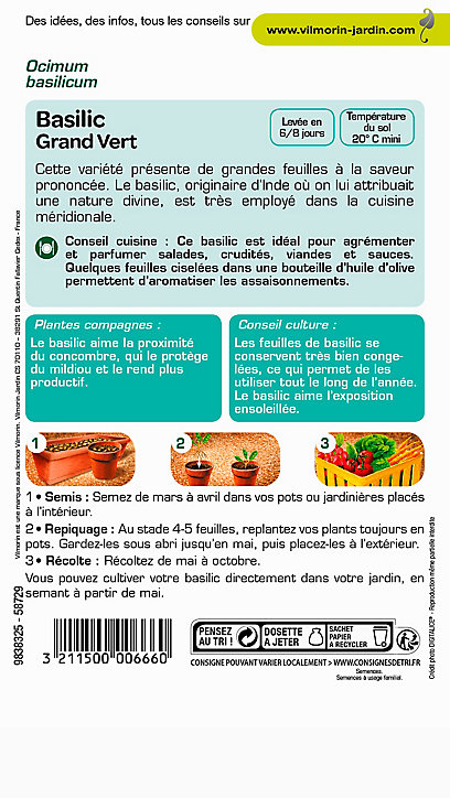 Graines de Basilic Grand Vert