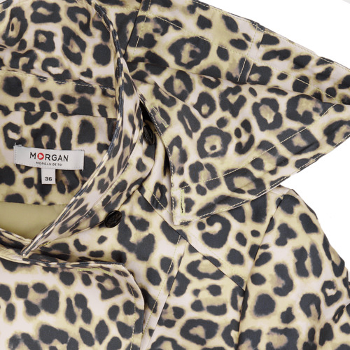 Morgan - GALAXI - Leopard