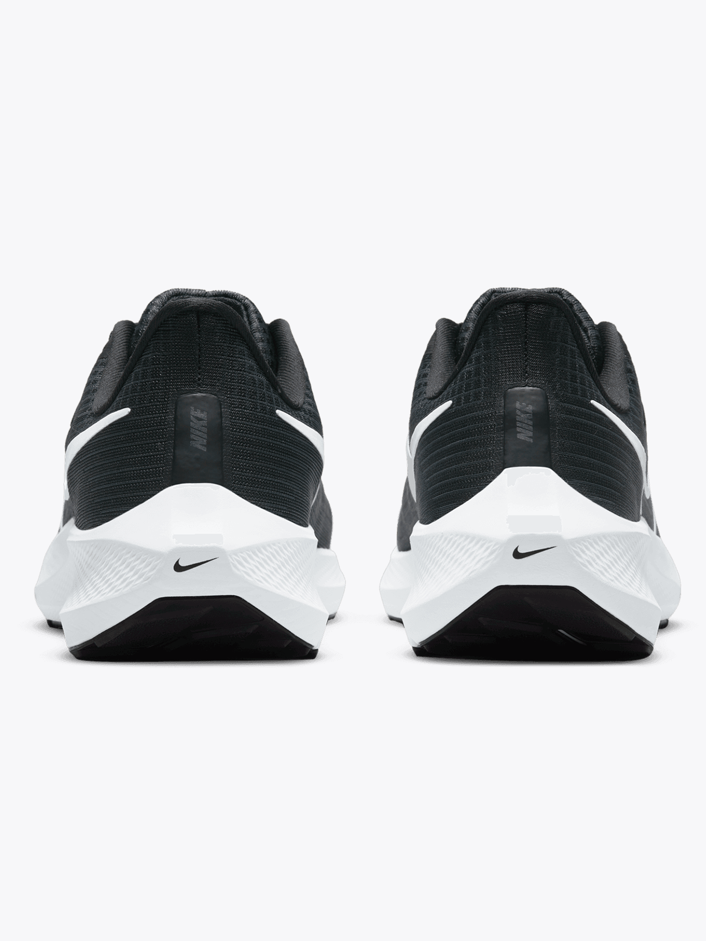 Pegasus 39