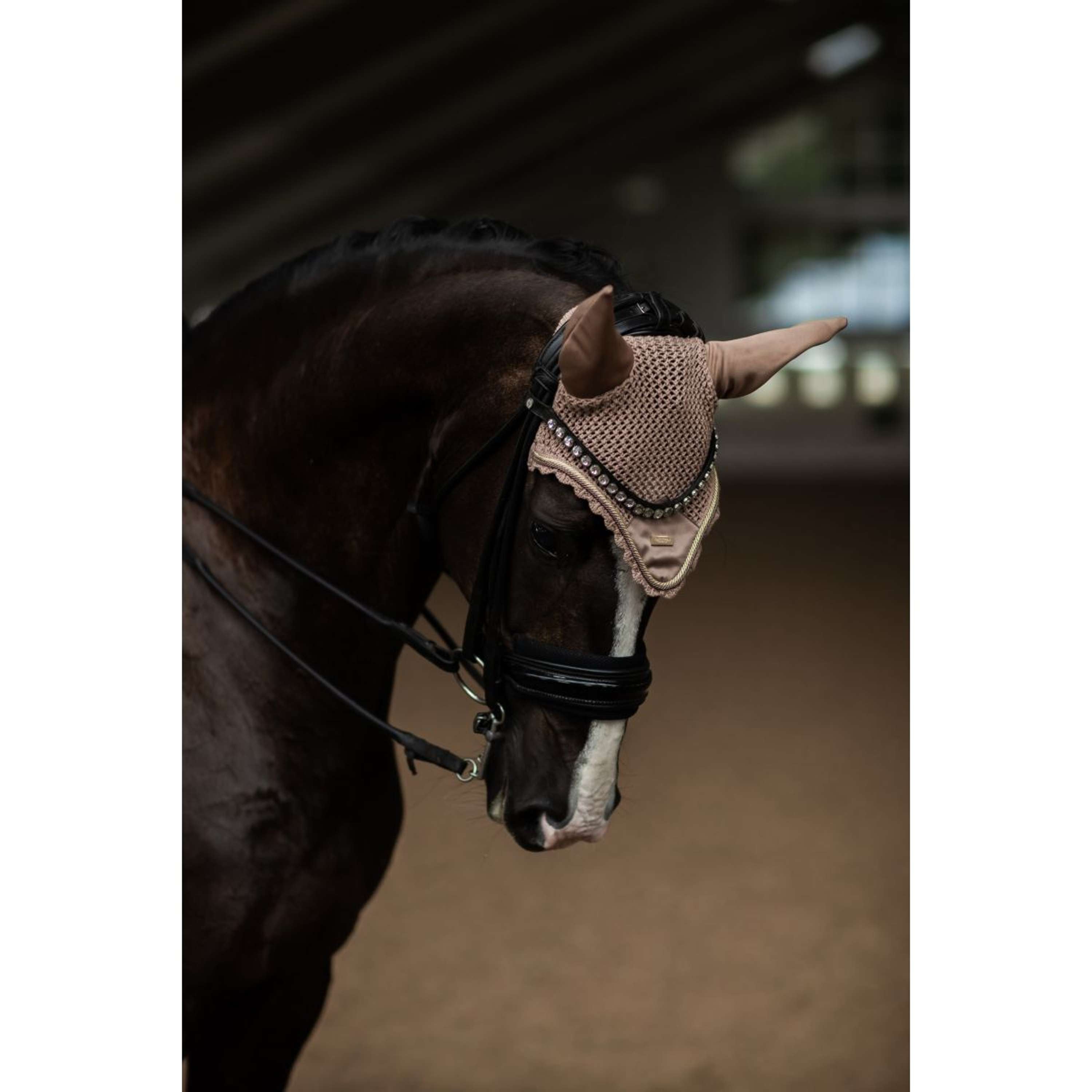 Equestrian Stockholm Oornetje Champagne