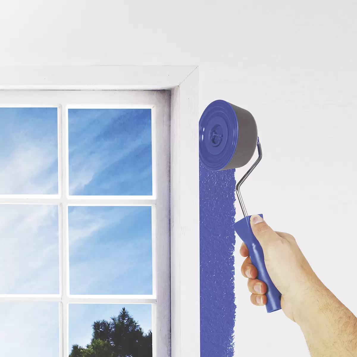 Renovator Paint Runner Pro