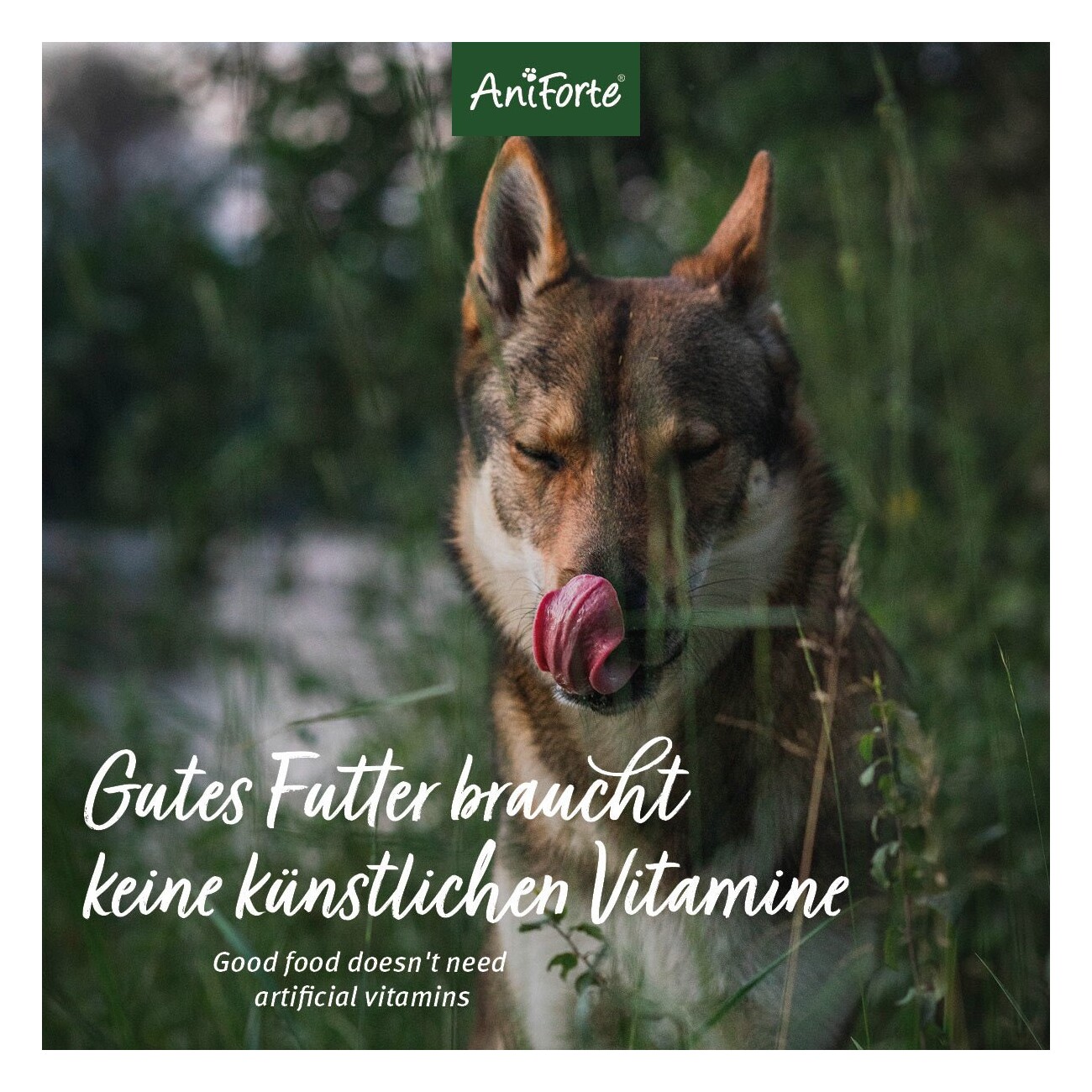 AniForte Trockenfutter Rind 500 g