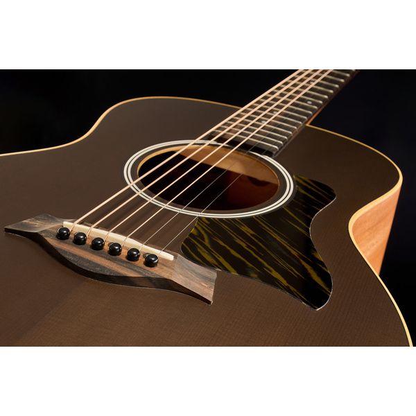 Taylor GS Mini-e Special Edition TBK