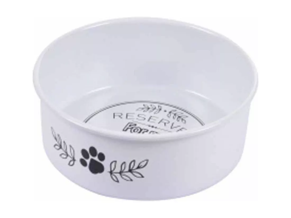 Gamelle pour Chien & Chat 