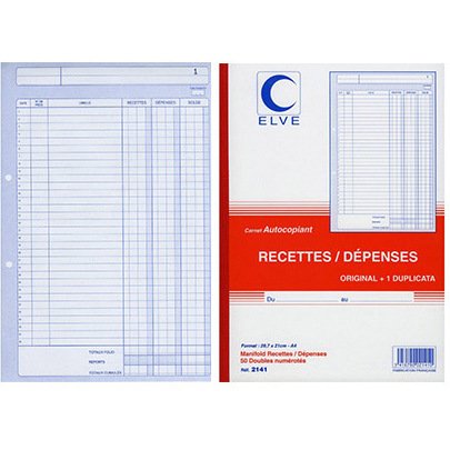 Manifold 'Recettes / Dépenses', A4, dupli, 50 feuillets