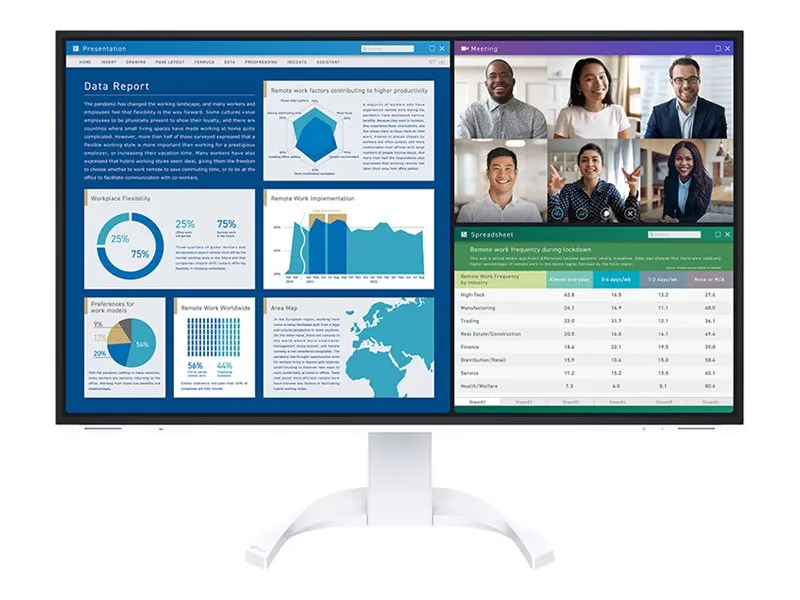 EIZO FlexScan EV3240X - Med FlexStand - LED-skærm - 32