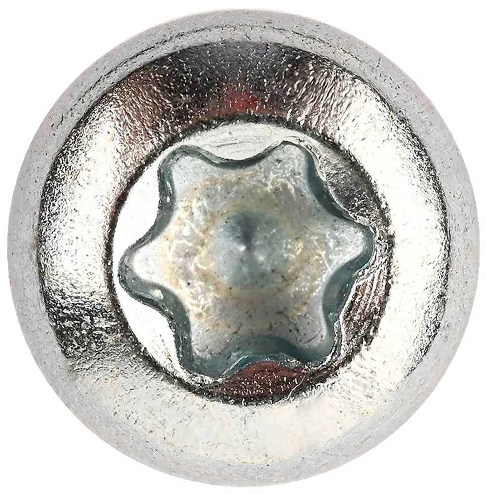 Panskrue 4,0 x 30 mm TX20 200 stk.