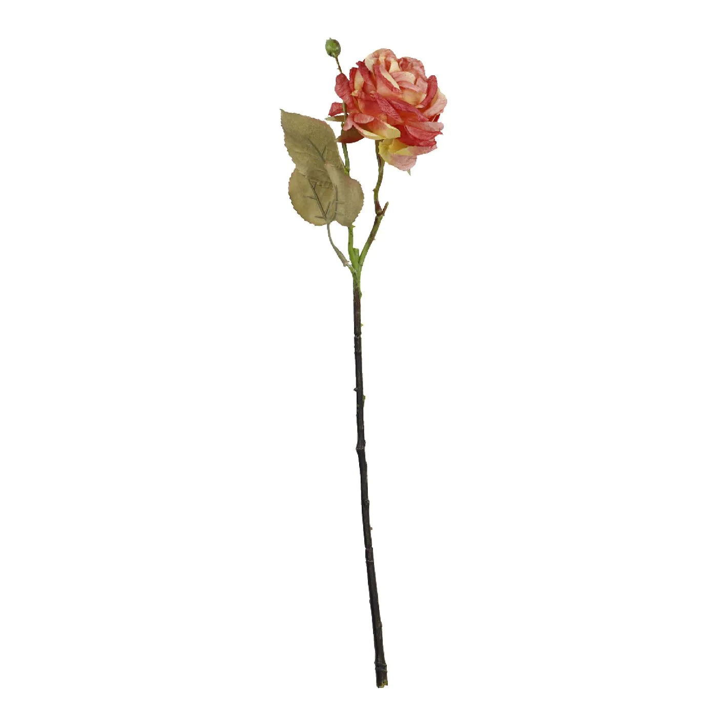 Rose Mathilda, orange, 45 cm