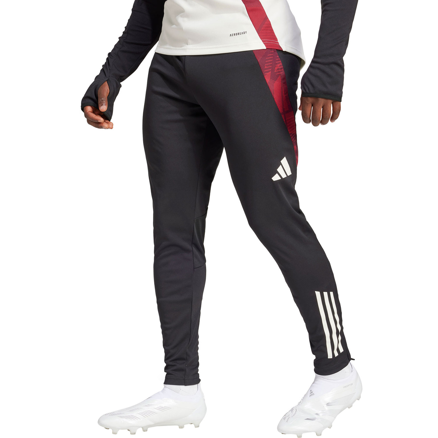 adidas Manchester United Training Pant 2024/2025