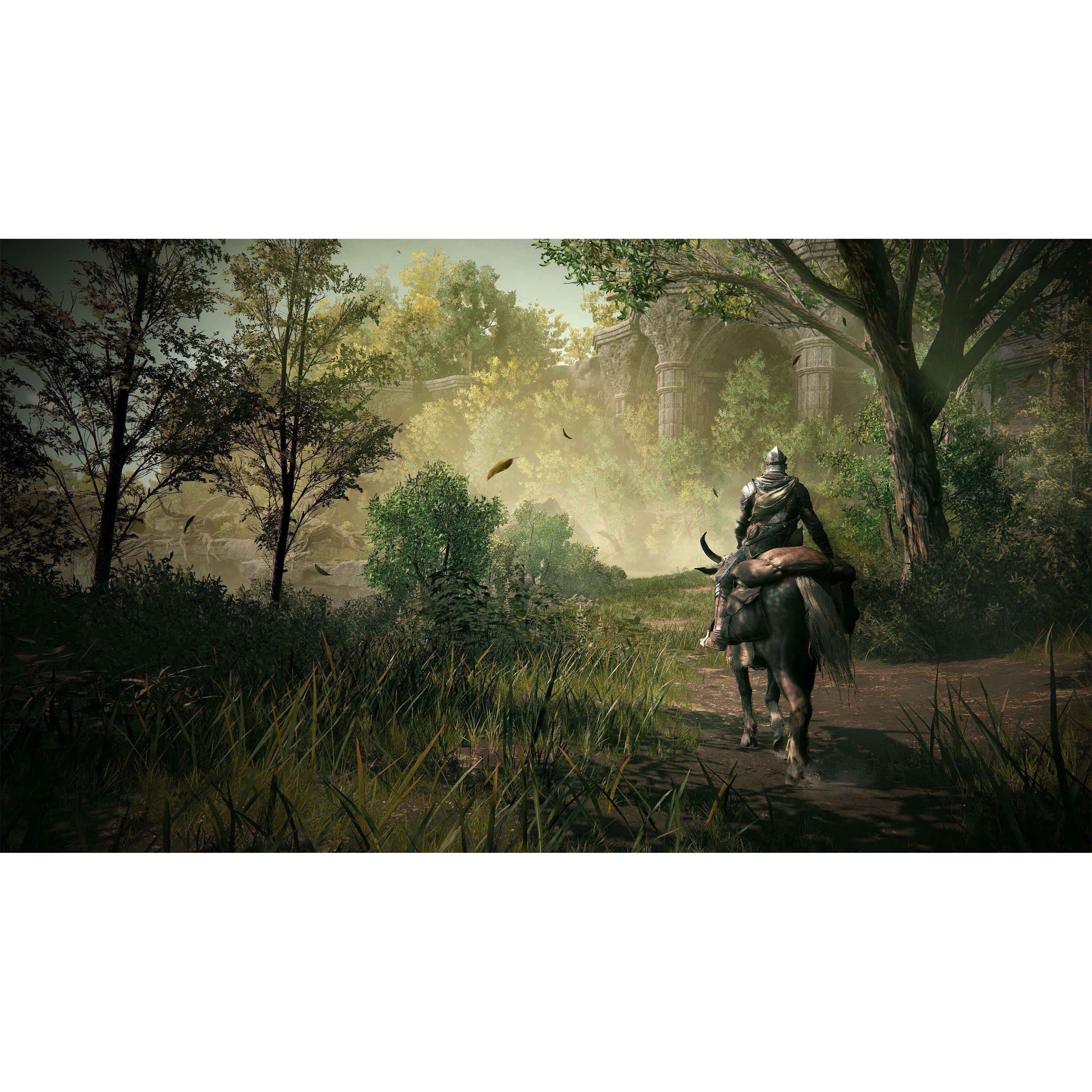 Bandai Namco Entertainment GAME Elden Ring: Shadow of the Erdtree Collectors Ed