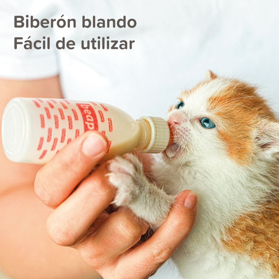 Kit de mamadeira Beaphar Lactol PET