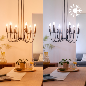 Philips Smart E14-fitting 40 watt
