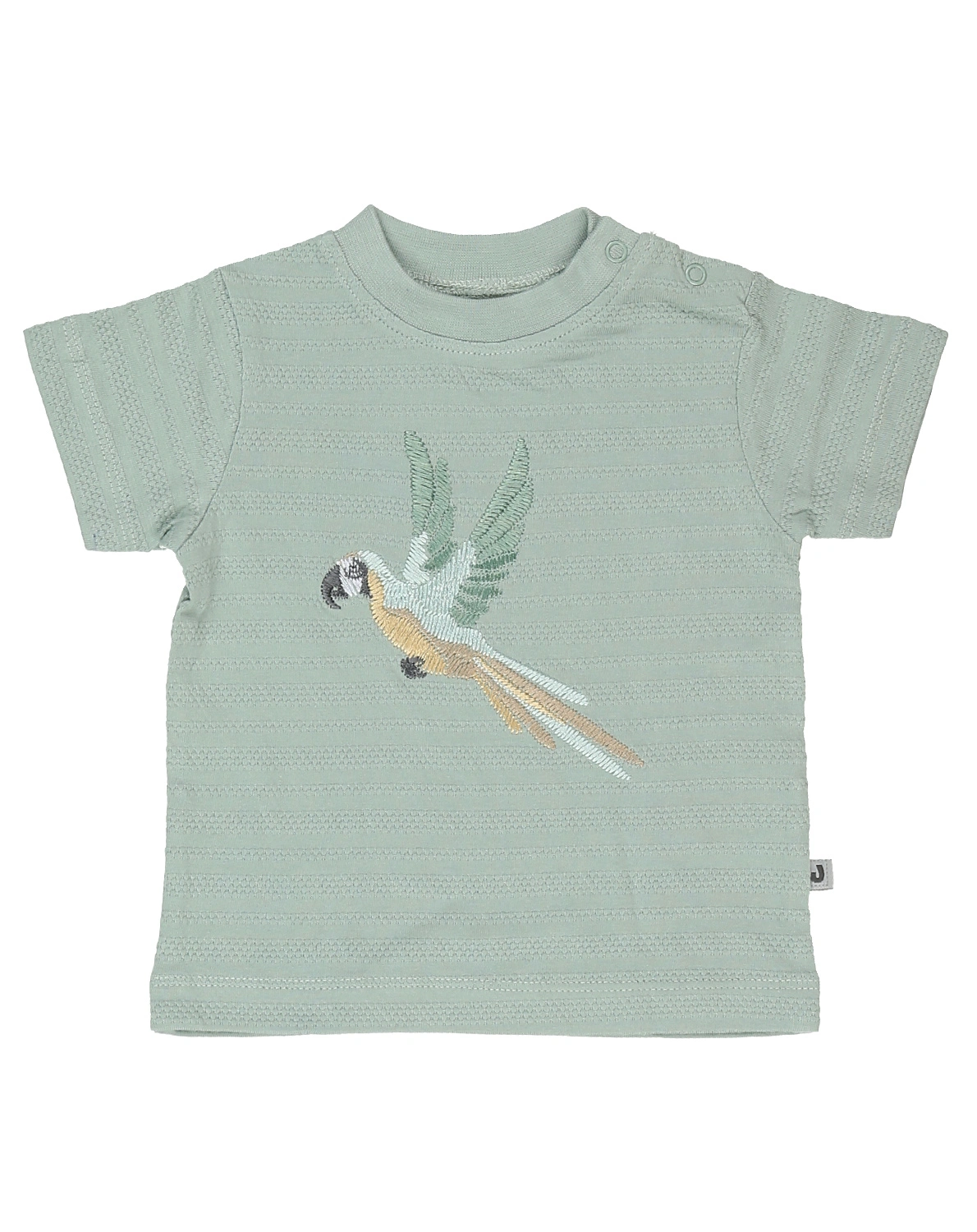 T-Shirt OUTBACK in pistazie