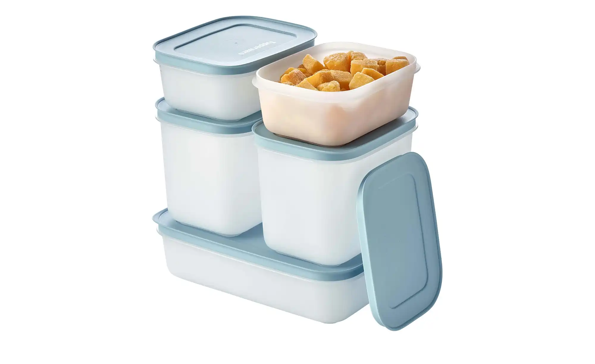 Tupperware Gefrierdosen Starter-Set  1x 1L, je 2x 1,1L und 0,45 L