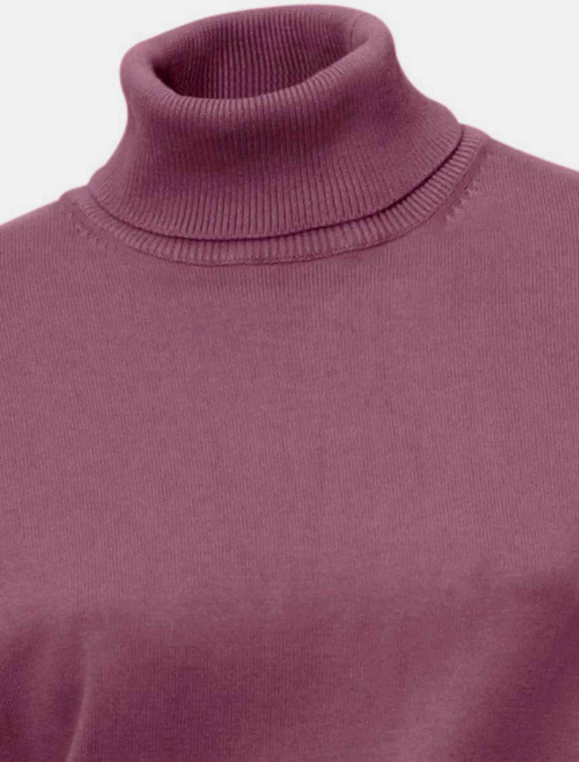Rollkragenpullover