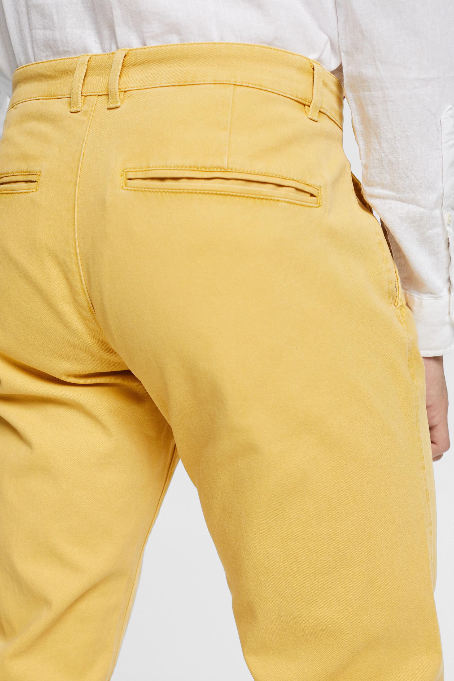 Chino en coton