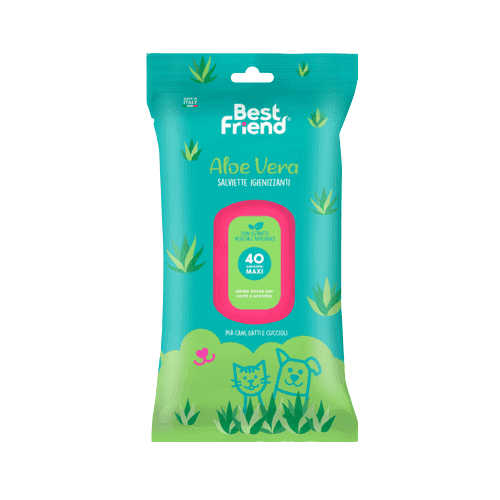 Lenços umedecidos Maxi Aloe Best Friend
