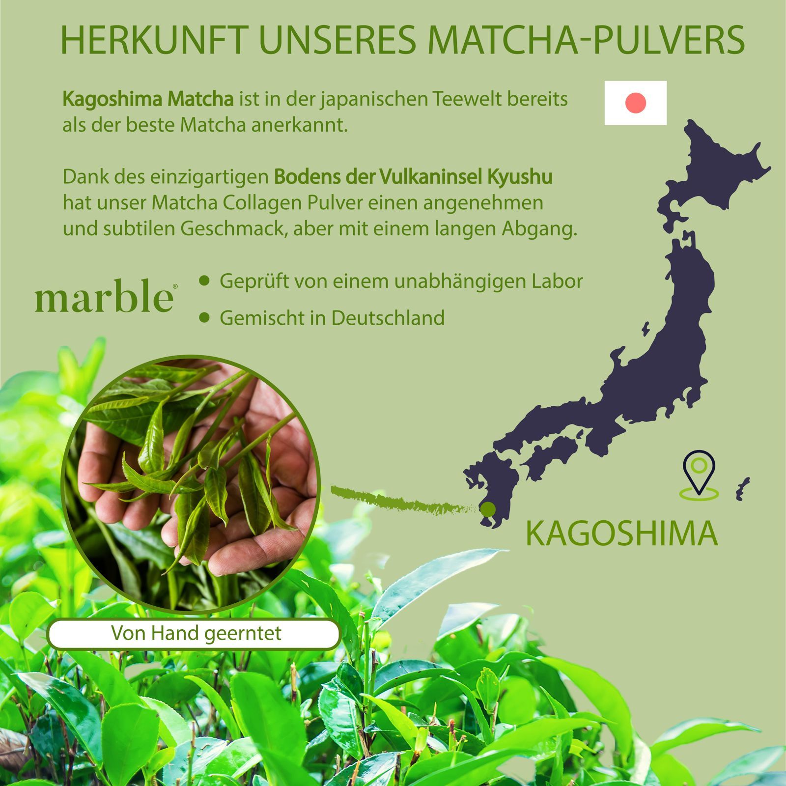 marble® Collagen Pulver Matcha