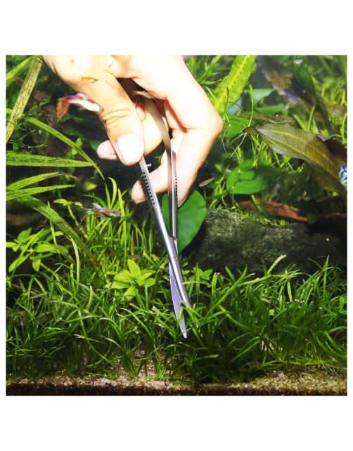 Jbl Proscape Tools S 16 Spring - Aquascaping - 16 cm