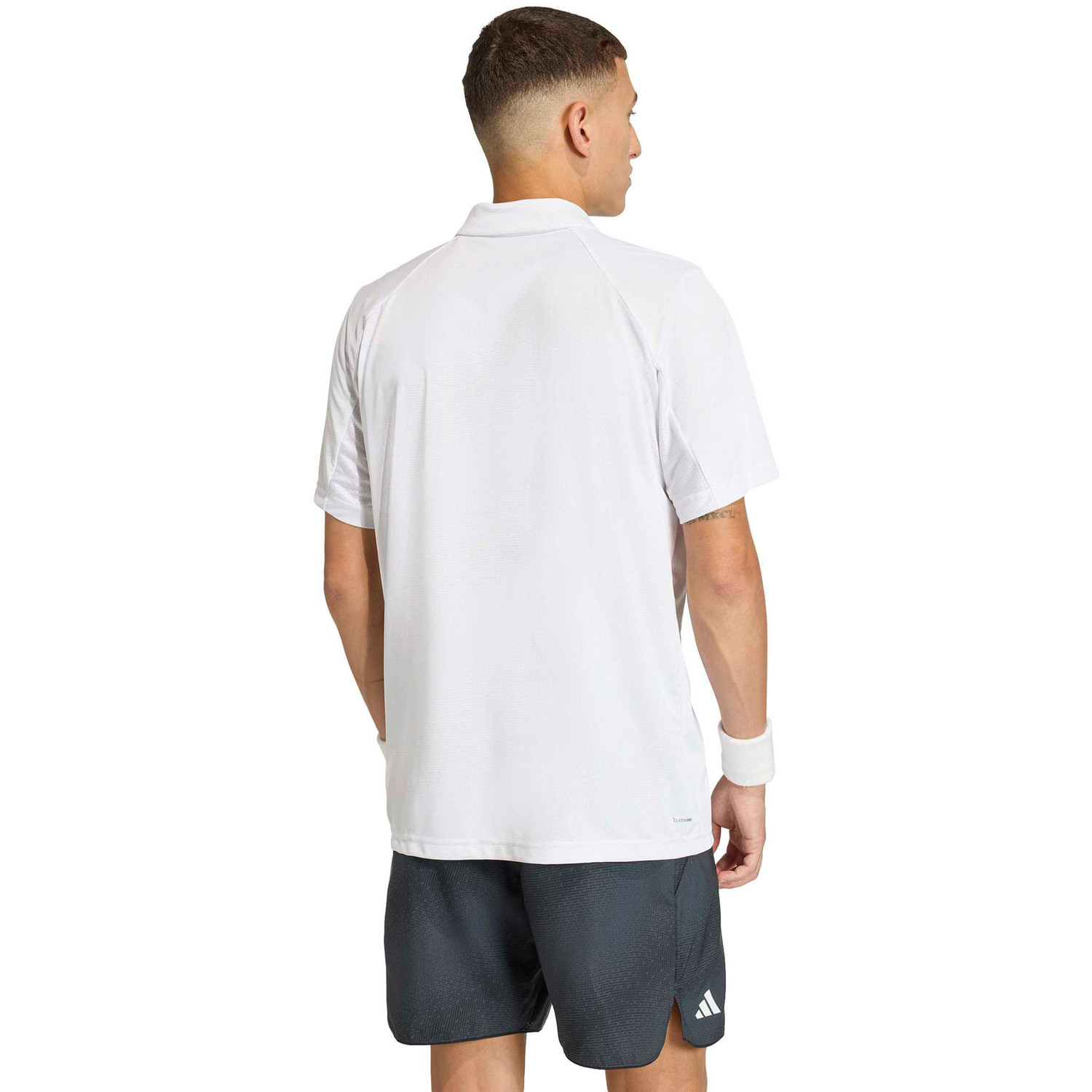 adidas Club Graphic Polo