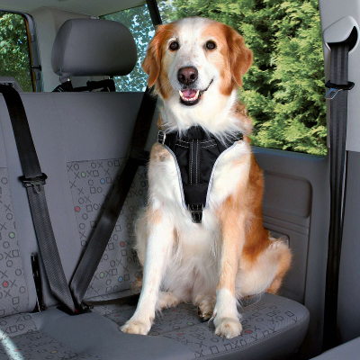 Trixie Dog Protect Sicherheitsgeschirr