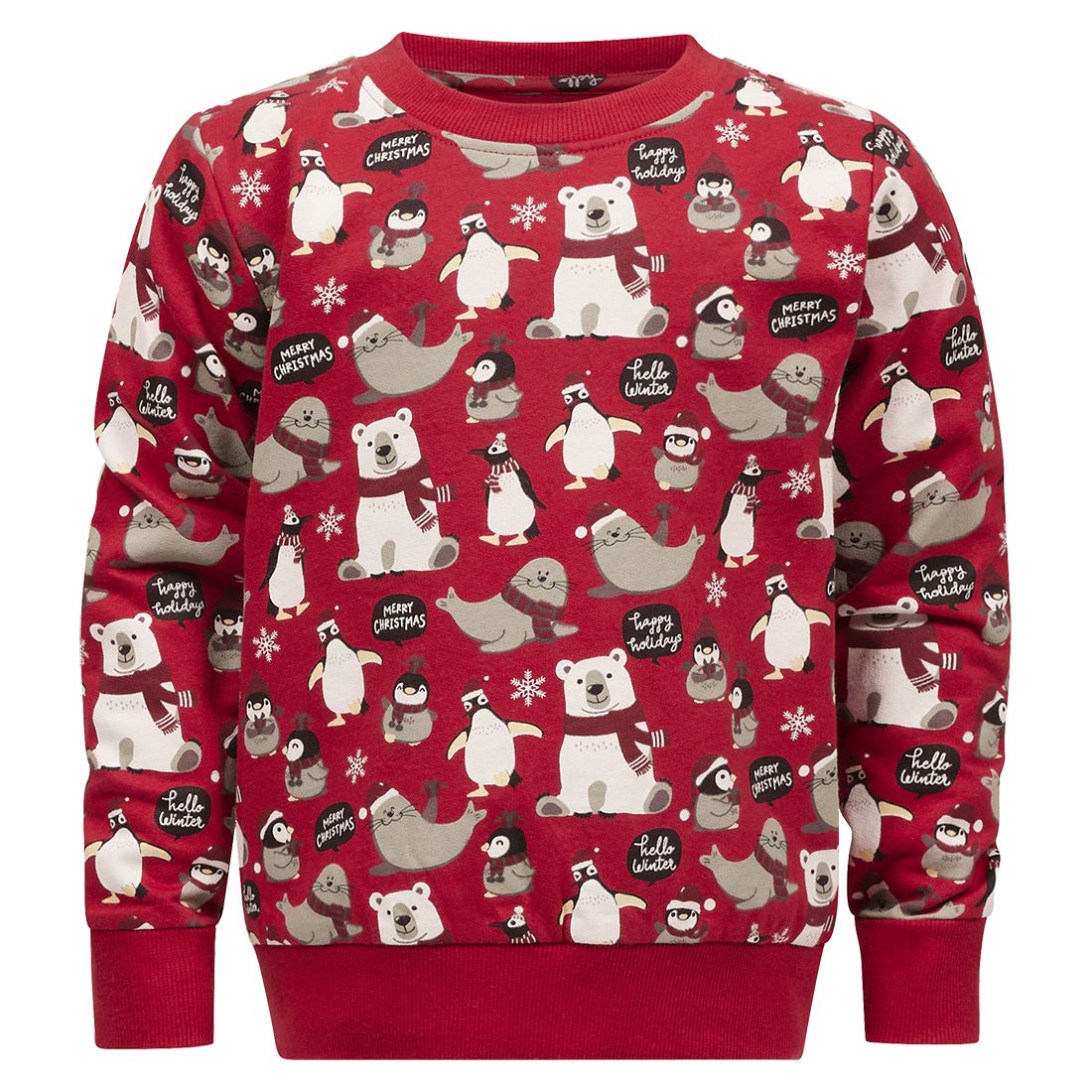 Collegegenser med print Snow