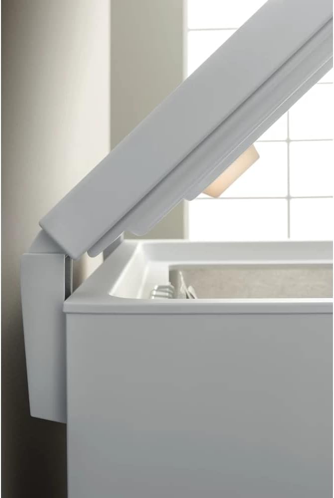 Bauknecht GTE 822 Gefriertruhe / 215 L/Space-Max/Door Balance/Energiesparfunktion/Supergefrierfunktion/Kindersicherung, Weiss