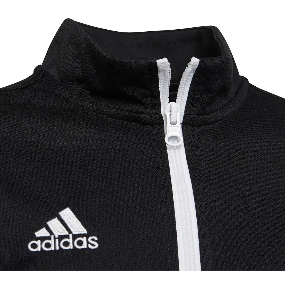 jaqueta adidas Entrada 22