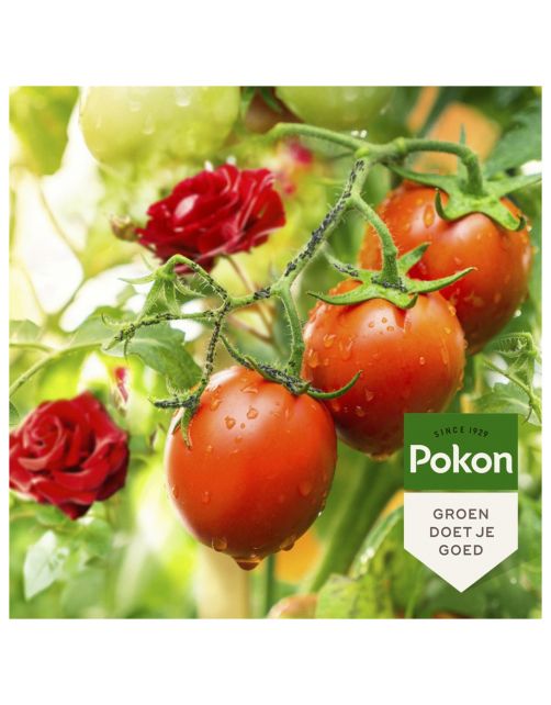Pokon Bio Tegen Insecten Concentraat - Insectenbestrijding - 225 ml