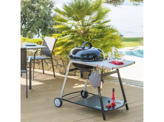 Barbecue Charbon 