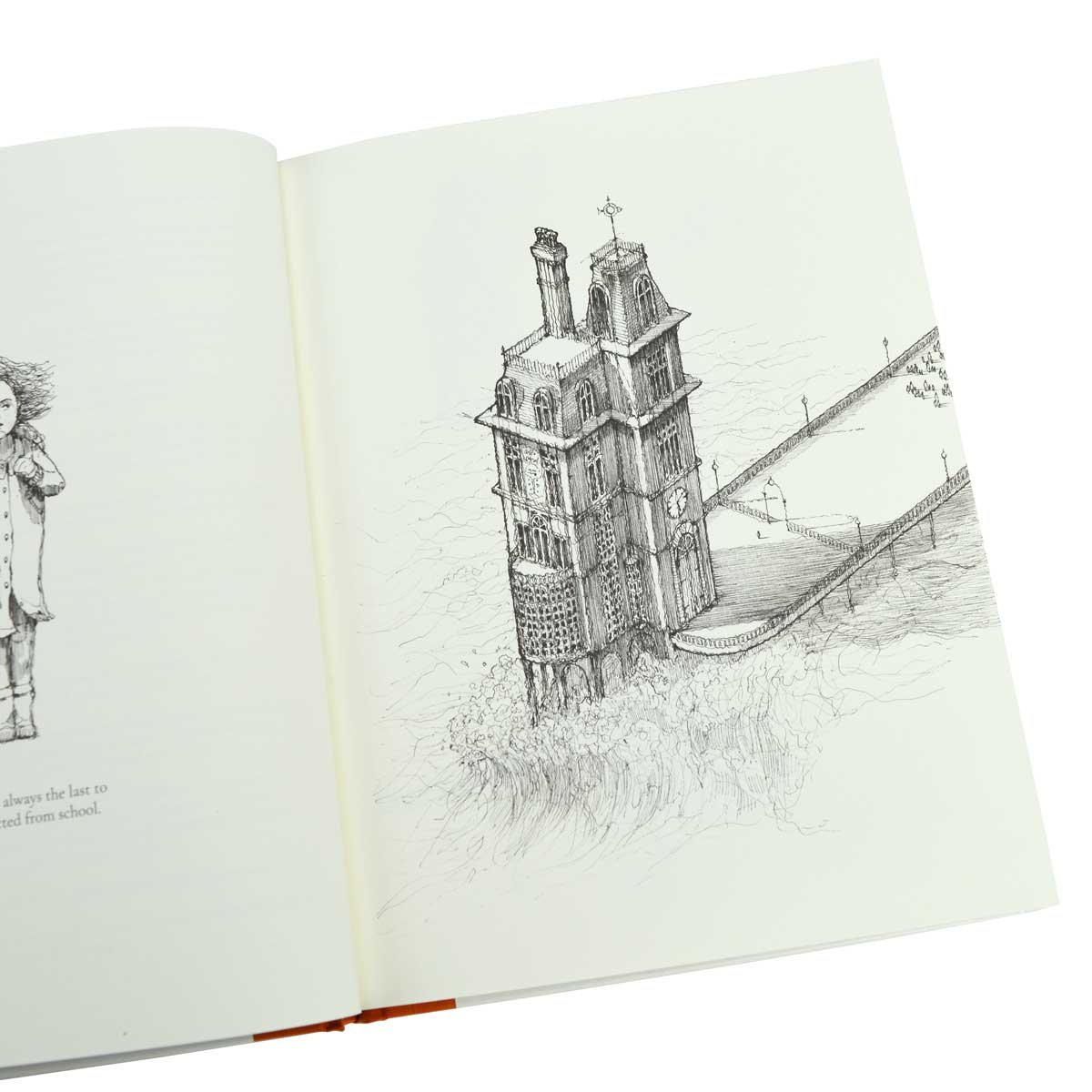 The Last Tree: A Seed of Hope (Hardback)