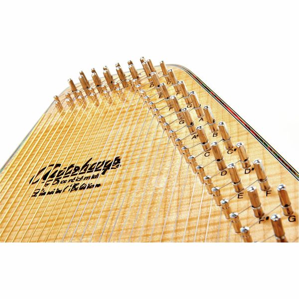 Oscar Schmidt OS110 21FNE Autoharp