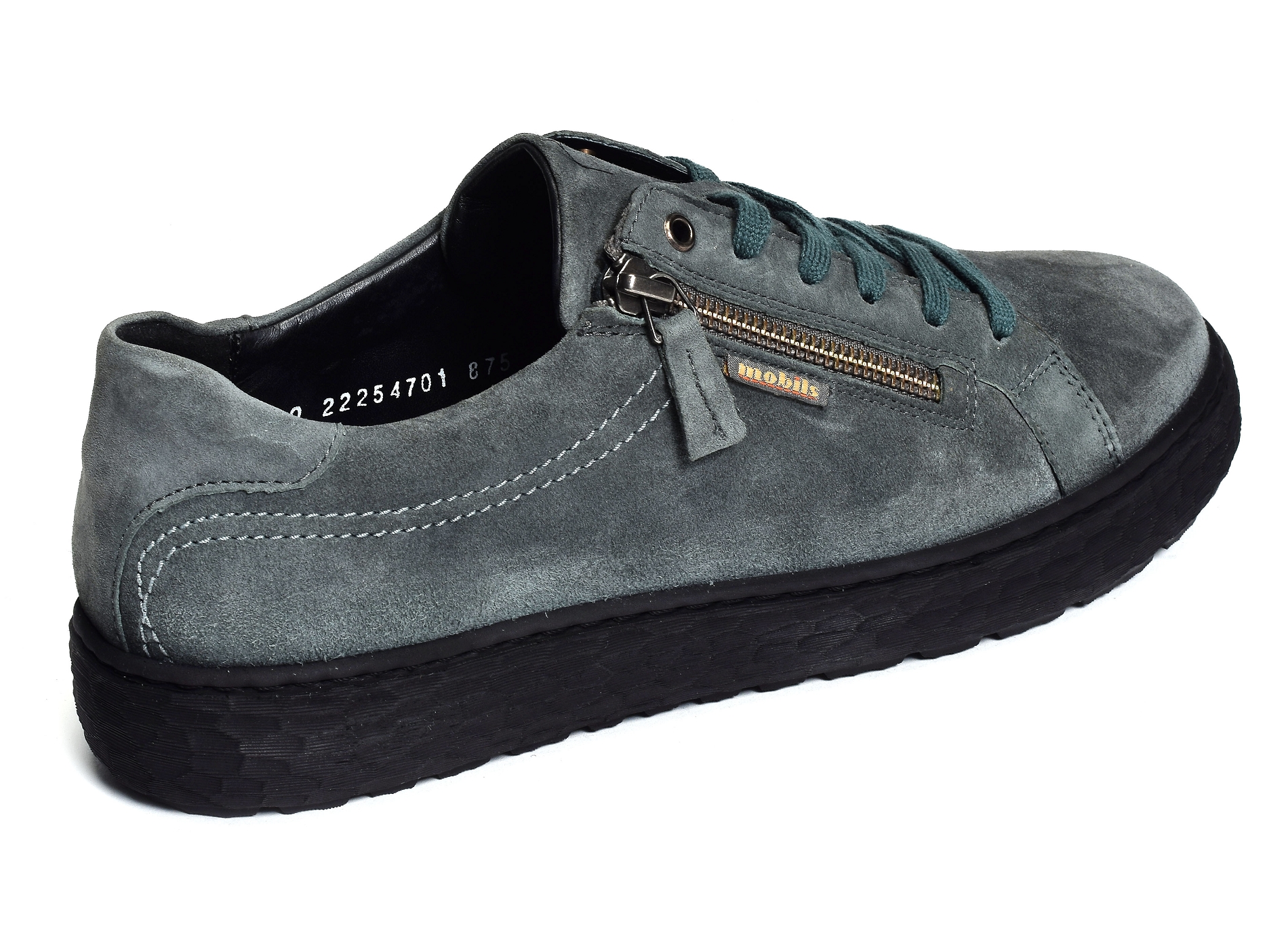 Laula gris bleu