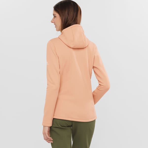 Veste polaire SALOMON SNTIAL XWARM HOODIE W SIROCCO