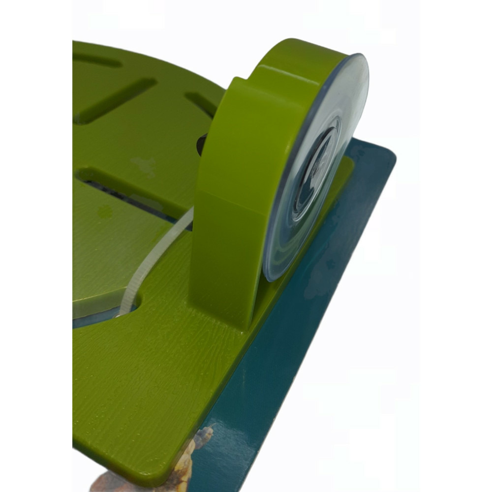 Plage karapas vert pour tortues, 33 cm.