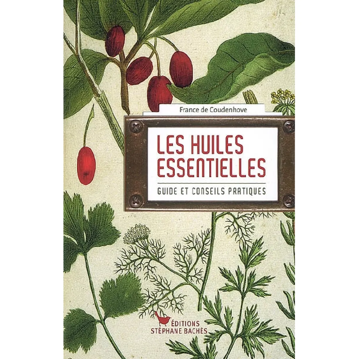 Les huiles essentielles : guide et conseils pratiques · Occasion