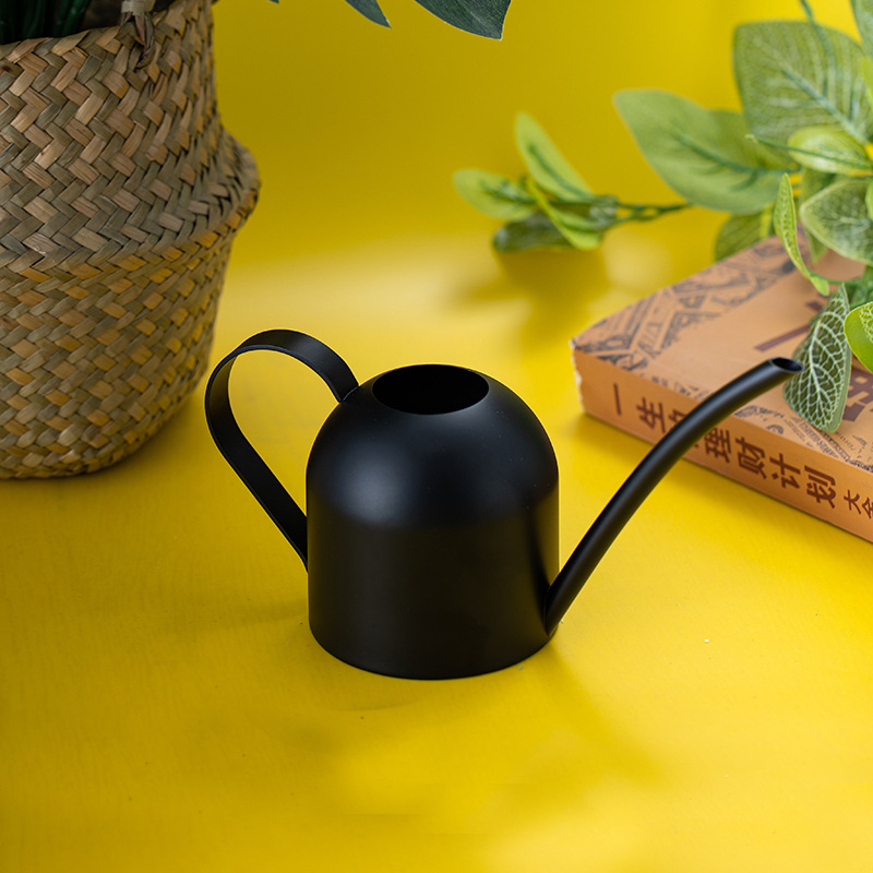 (500ml) Edelstahl Blumen Giesskanne Pflanzen Bewässerung Garten Spritz Kanne - Schwarz
