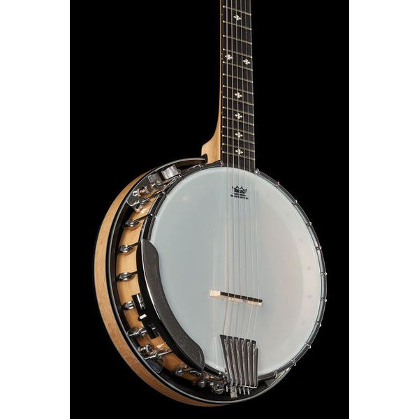 Gold Tone GT-500 6 String Banjitar