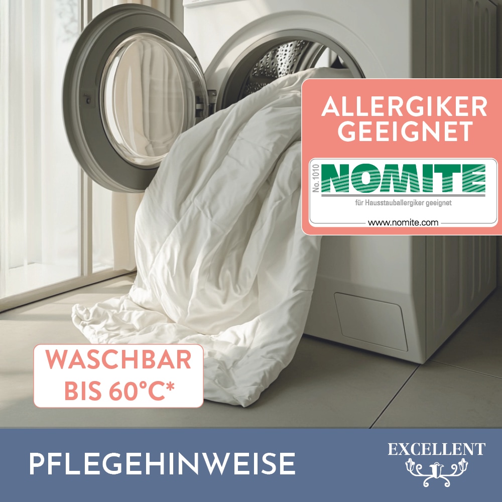 Excellent Daunenbettdecke »Überraschungsbox« leicht Füllung 90Daunen10Federn Bezug Baumwolle 1 Stk. tlg. absoluter Sonderpreis, wegen Lagerräumung, Solange der Vorrat reicht