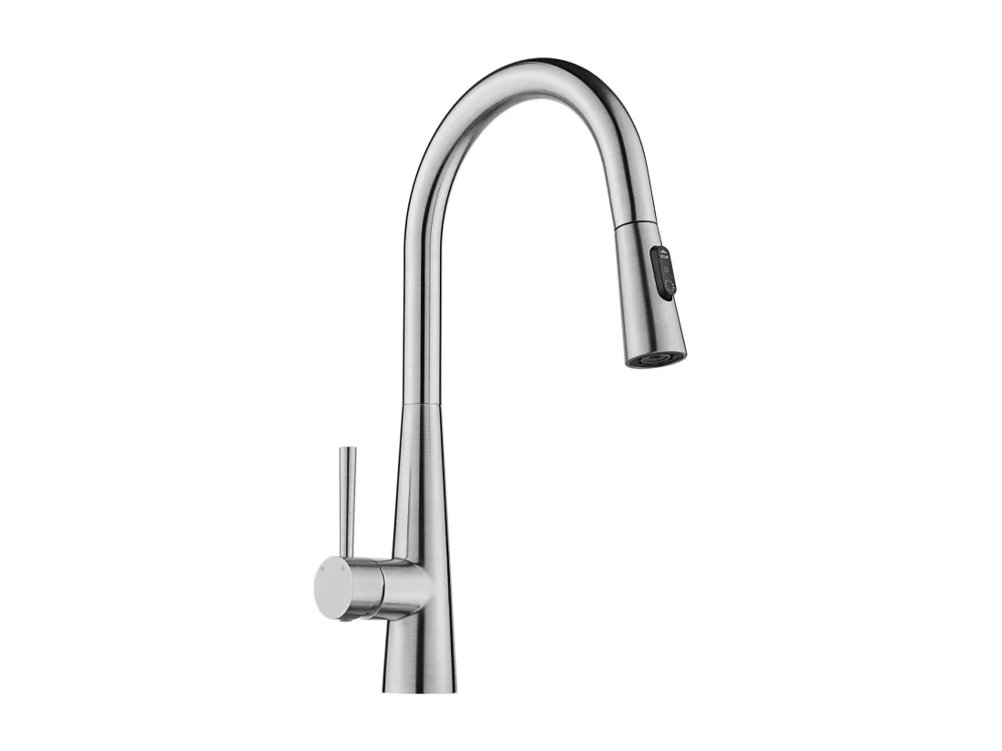 Cecipa max Mitigeur de Cuisine avec Douchette Extractible - Robinet d'Évier avec 3 Modes de Sortie D'eau - Mitigeur Cuisine en Inox Brossé,EU Modèle