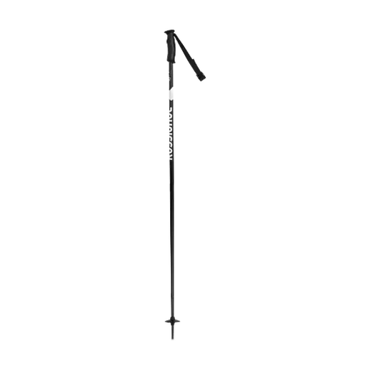 Rossignol Electra Skistave | SkatePro