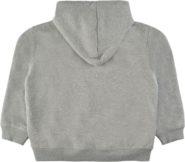 The New TNHOWARD OS HOODIE Grå