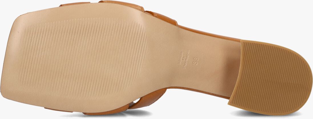 bruine lina locchi muiltjes l1398