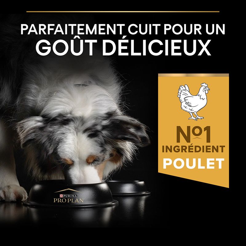 PURINA PRO PLAN Medium Adult Everyday Nutrition
