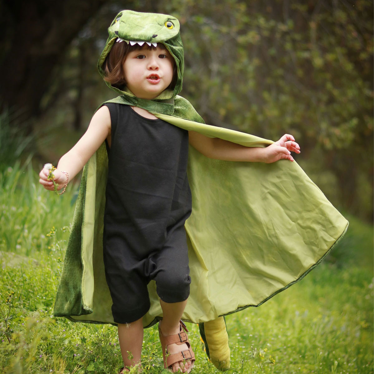 Cape Dinosaurus T-rex, 4-5 jaar