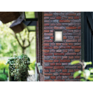 Philips buitenlamp Karp antraciet