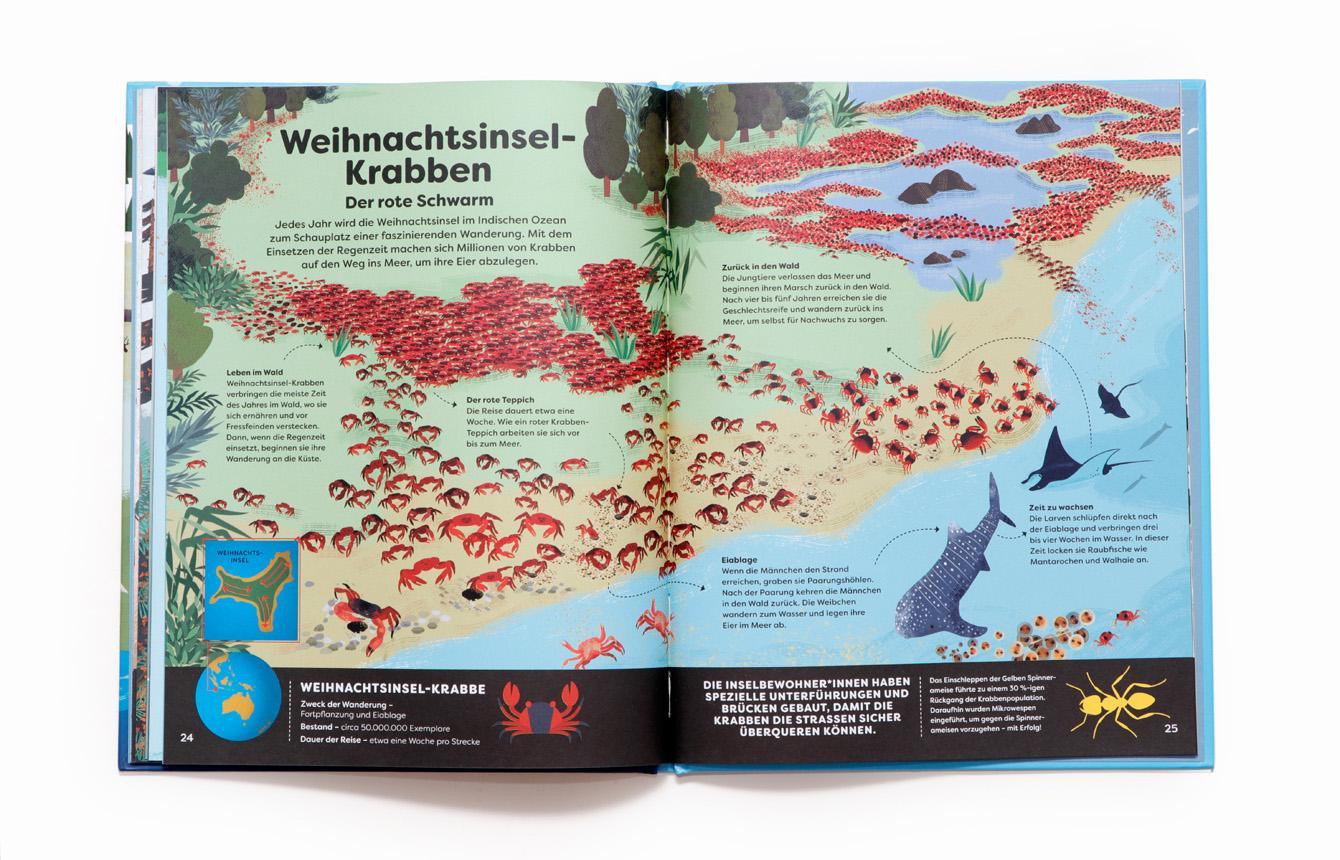 Tiere in deiner Umgebung