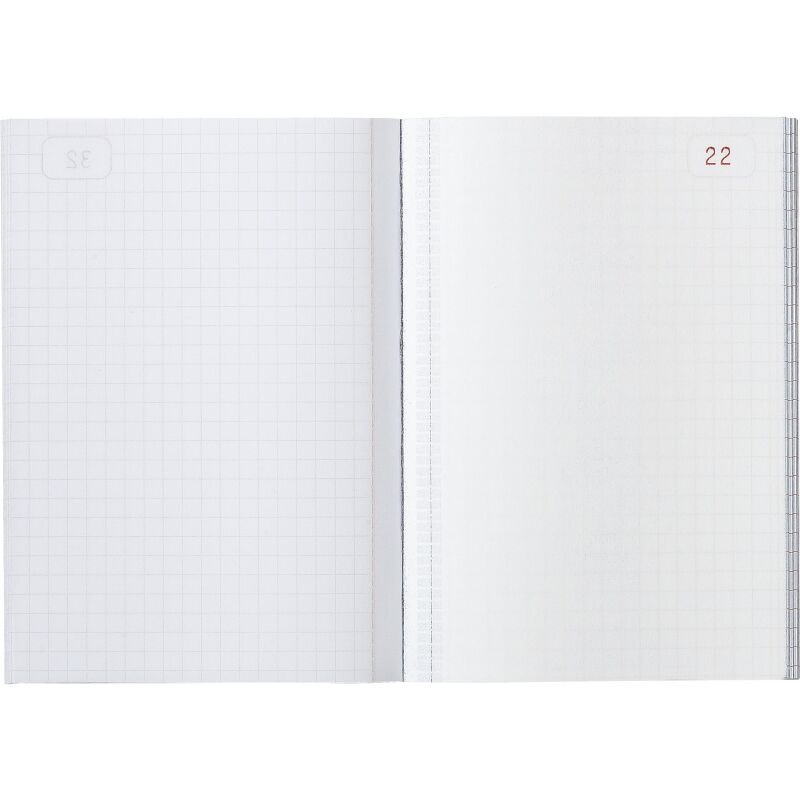 Manifold Le Dauphin 1102D - 50 pages 10,5 x 14,8 cm Autocopiant 2 exemplaires