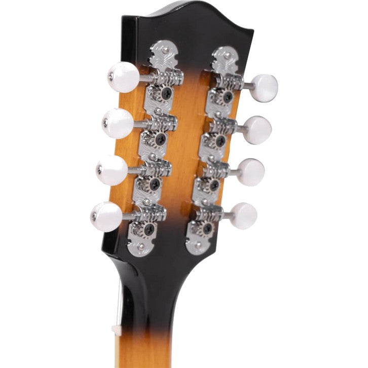 Gold Tone GM-50+ A-stijl mandoline met contactelement